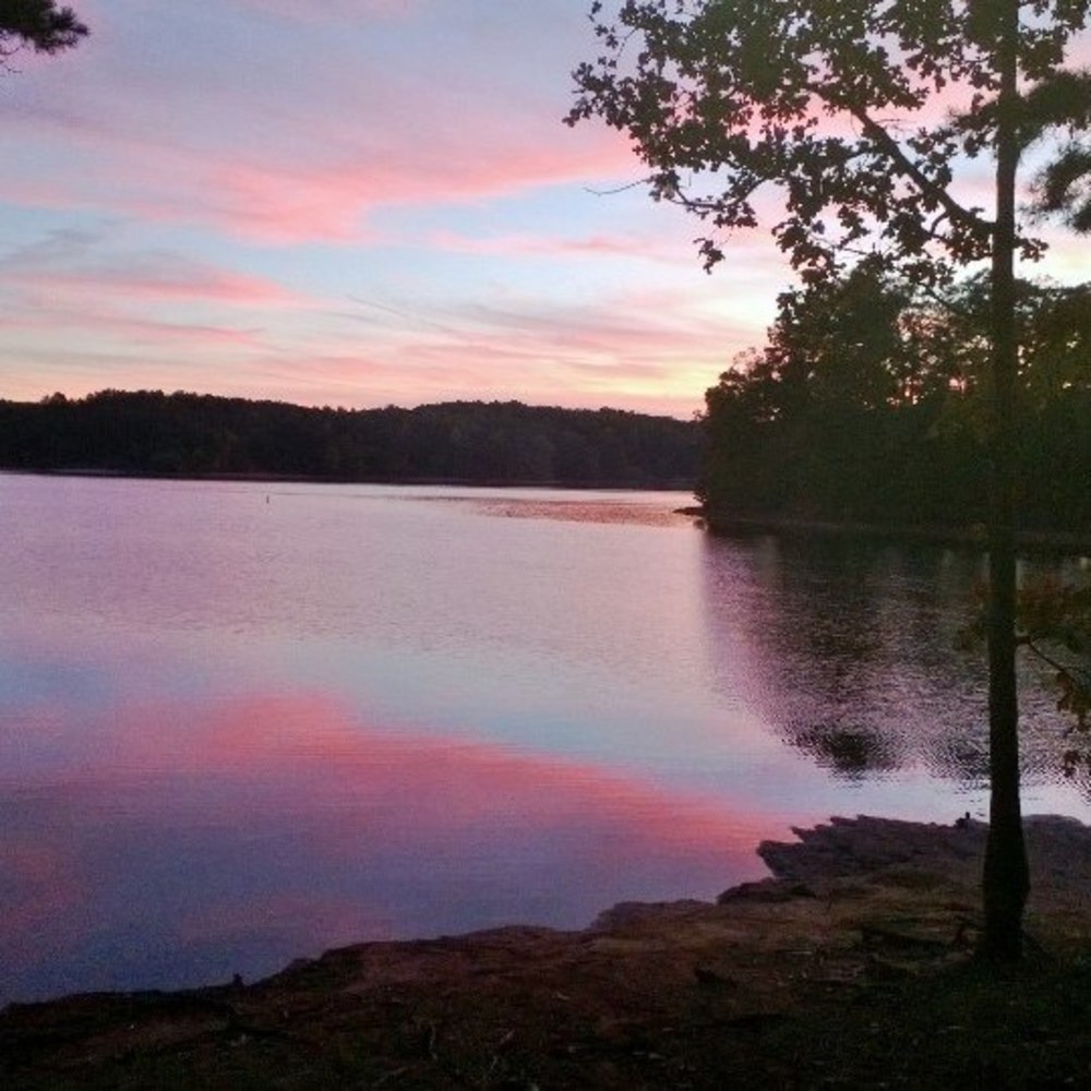 Meet your Posher, Arlene